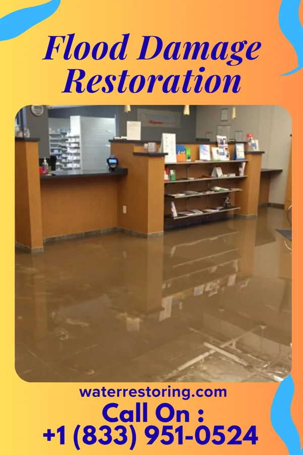 Flood Damage Restoration in Melvin, MI