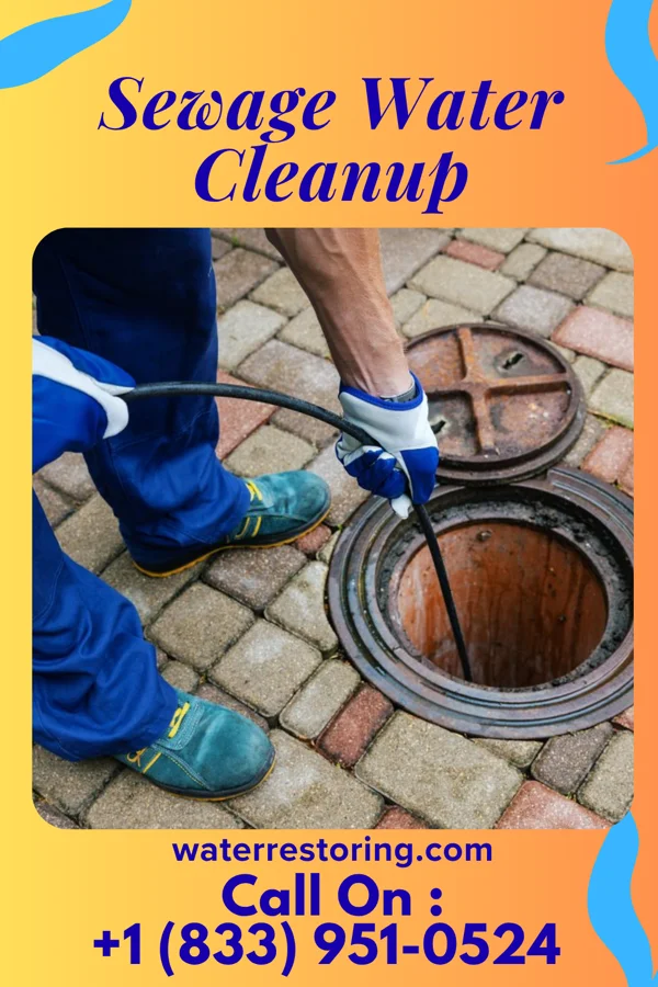 Sewage Water Cleanup in Melvin, MI